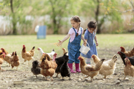 Advice for Starting a Small Farm Business Image